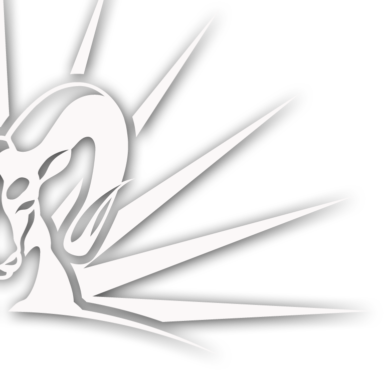 Rize Above Ministries - Media-Missions-Ministry - Logo big